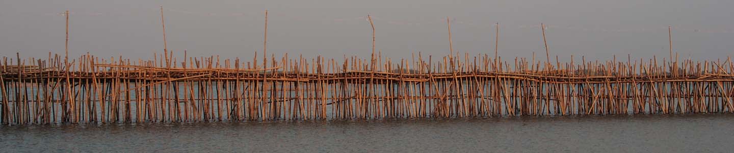 Pont de bambou sur le Mékong au Cambodge, Frangipanier artisanat des villages