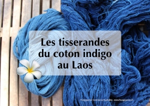 frangipanier-story-tisserandes-coton-indigo-laos-v042022-300x212px
