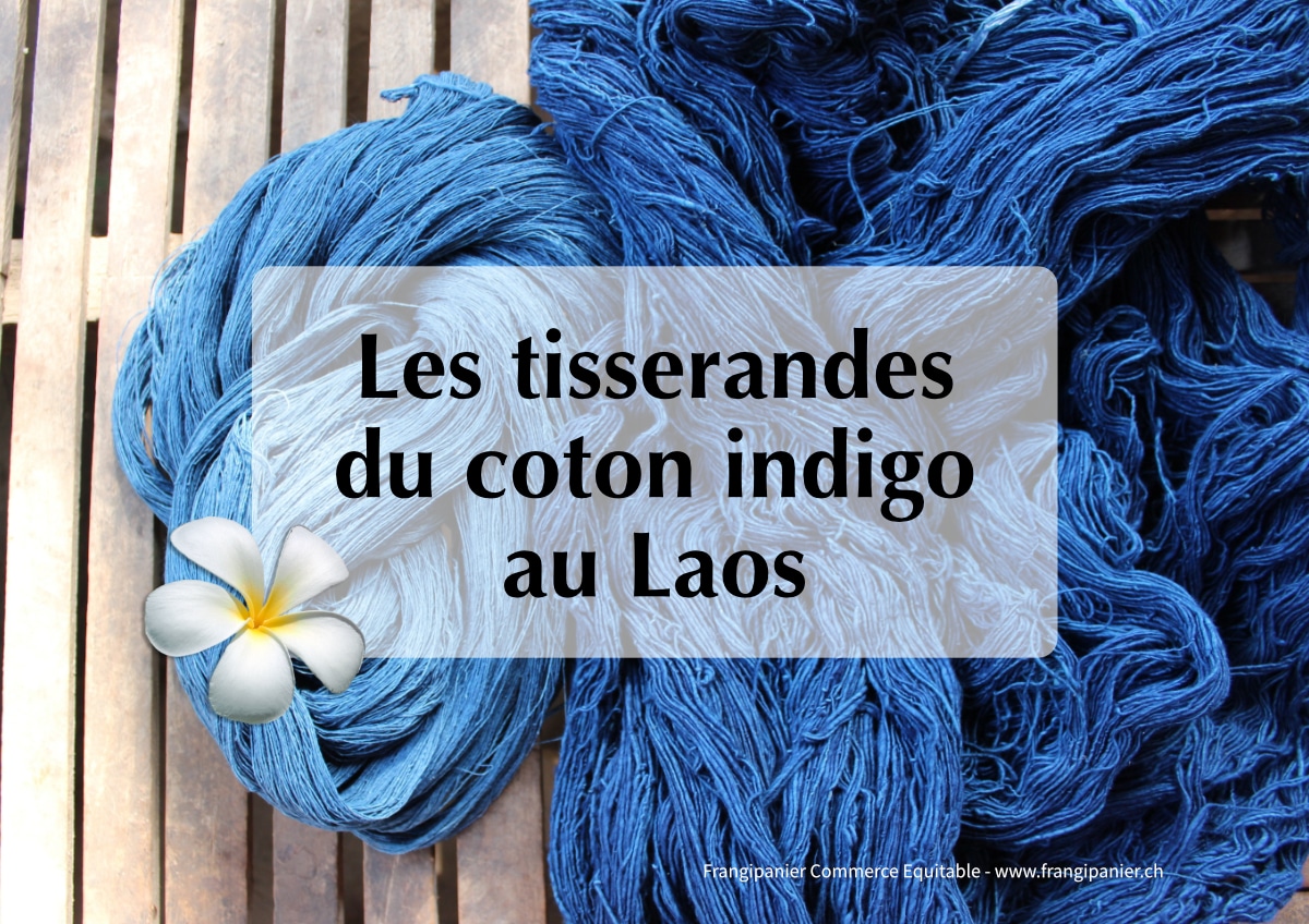 frangipanier-story-tisserandes-coton-indigo-laos-v042022_1